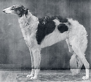Peterhoff of Marlboro